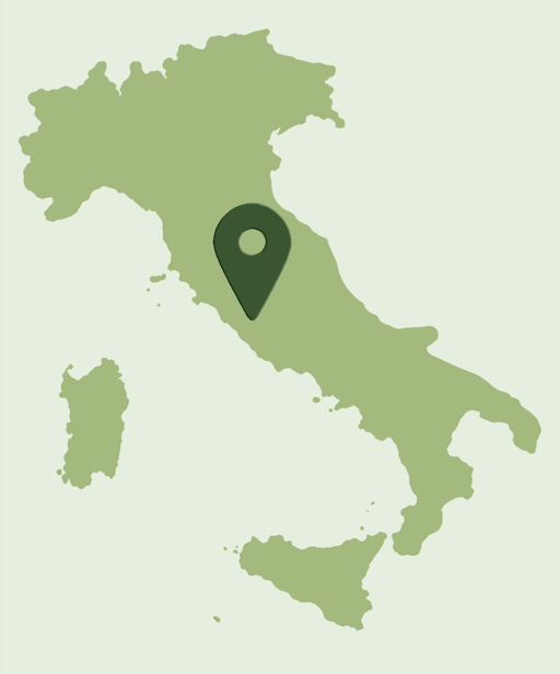 Consulente di zona ADI